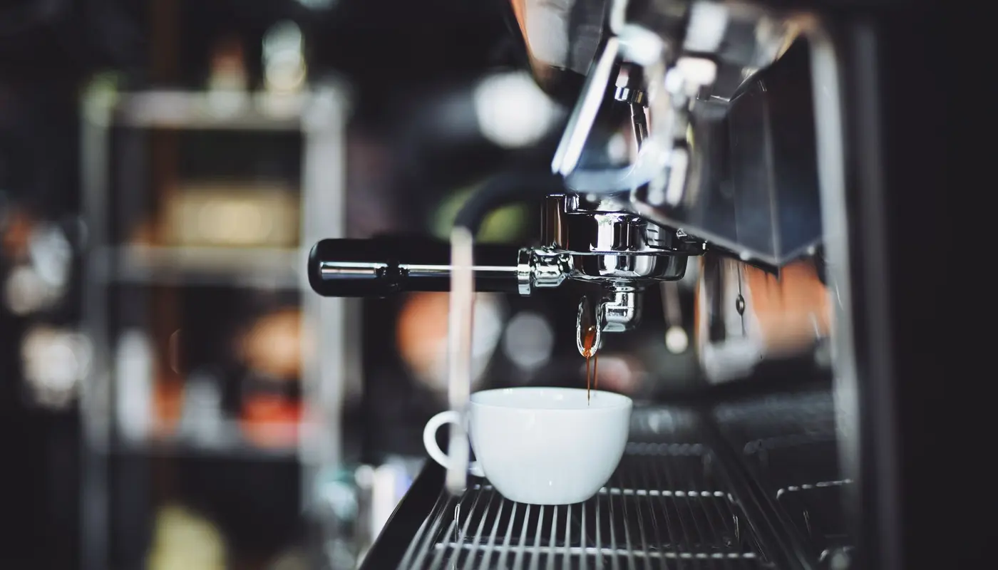 Café Formats That Work: Grab-and-Go vs All-Day Dining